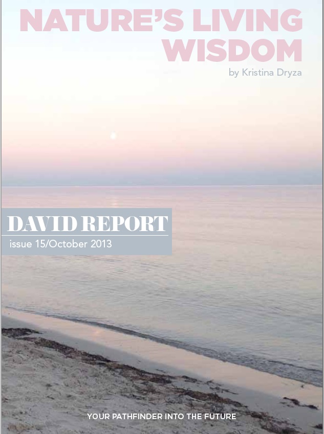 David Report cover