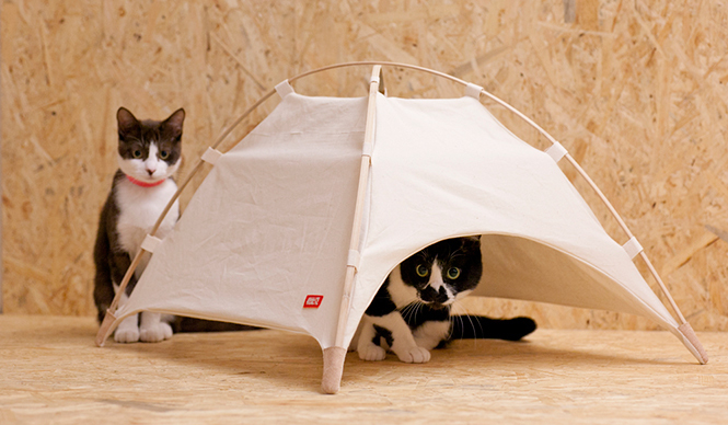 고양이를 위한 텐트 : #catstudyhouse