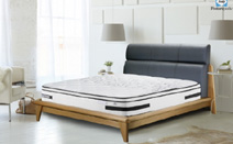 씰리침대, 신제품 프레임 3종 출시