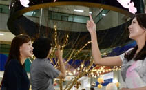 LG 올레드 사이니지, 상업용 디스플레이 시장 본격 공략