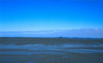 노상현 작가, ‘마음의 움직임(心動)’ 사진전시회 개최