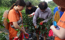 서울시, 10월 ‘놀토’ 프로그램 실시