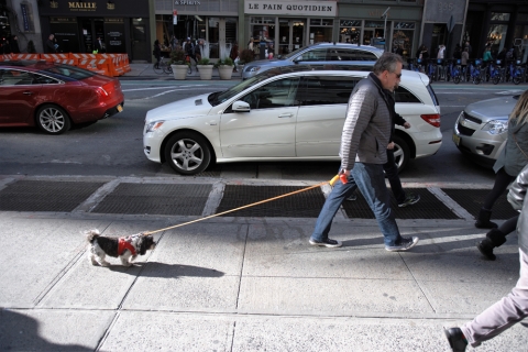 노상현 작가, 사진전시회 ‘Next to you’ 개최