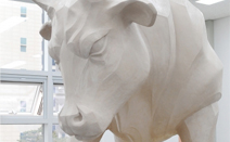 건국대, 개교 70주년 맞아 제2황소상 건립 추진