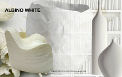 TF_휴먼네이처-시즌스토리텔링2010-2011>'Albino white'
