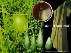 TF_시즌스토리텔링2010-2011>'Green science'
