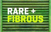 Rare Fibrous - 새로운 친환경 포인트 테이블 컬렉션