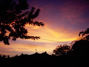 조재만 展 - 1.5-ILLUSION