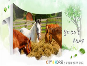 2011 시티앤홀스 말(馬)짓기 공모전