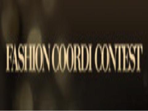 폴로 코디 컨테스트